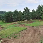 Sosnowe Wzgórze